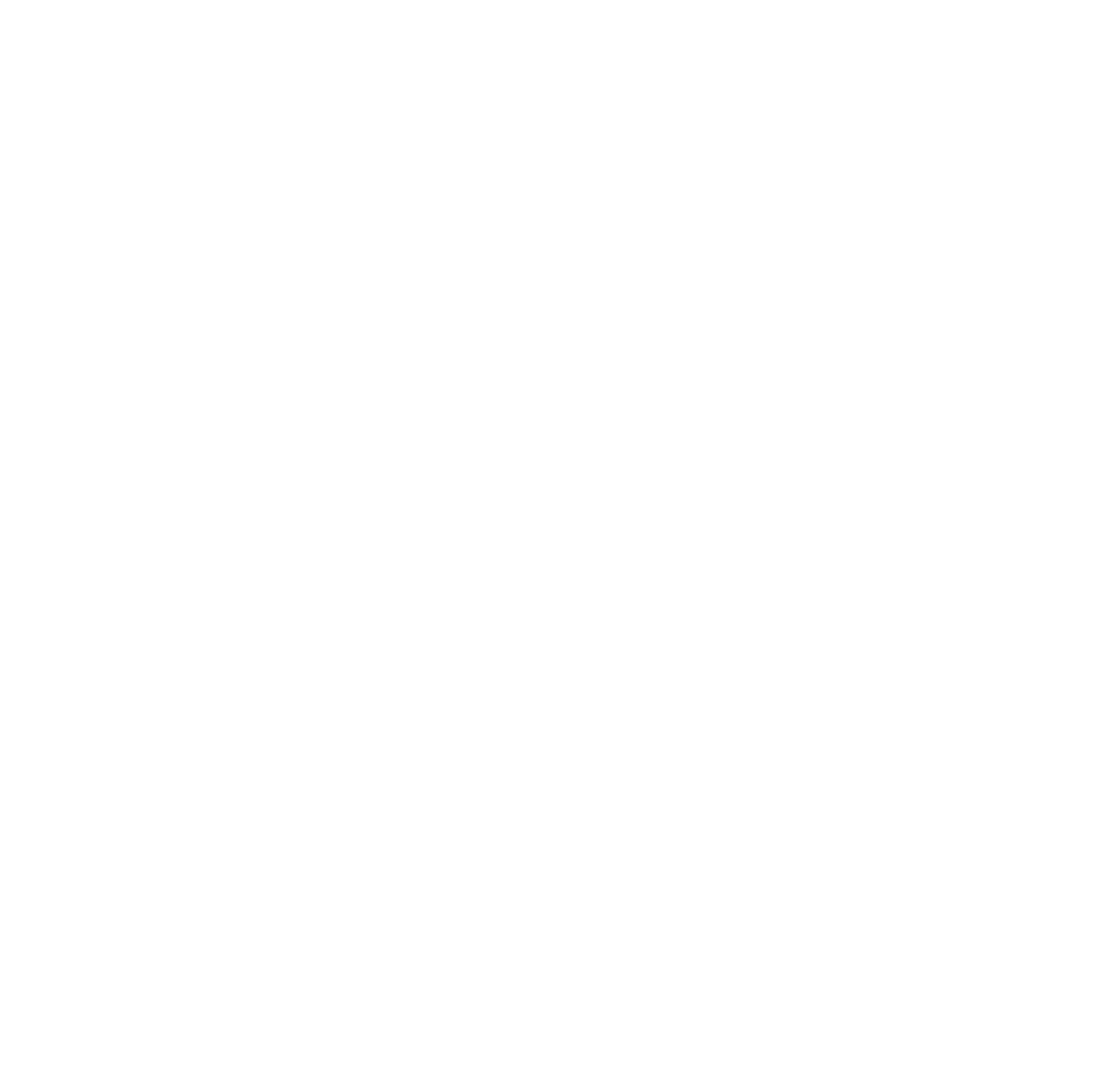 Social Justice Aotearoa