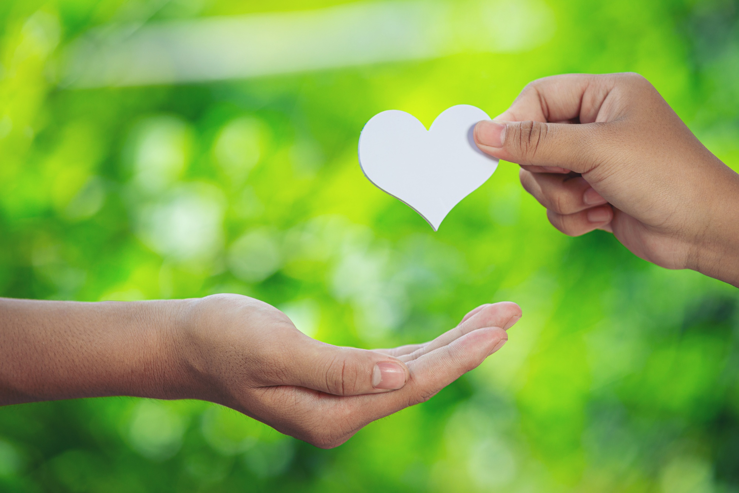 Community support by Social Justice Aotearoa Trust
